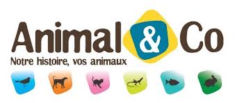 animal&co-suivre-mon-colis